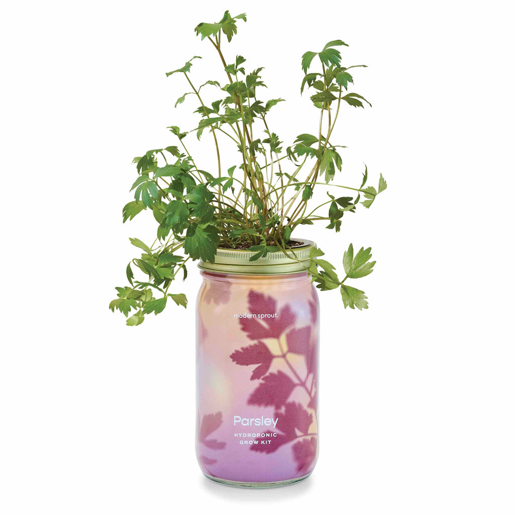 Routine Ready Garden Jar for daily home and personal routines with garden plant and outdoor supplies