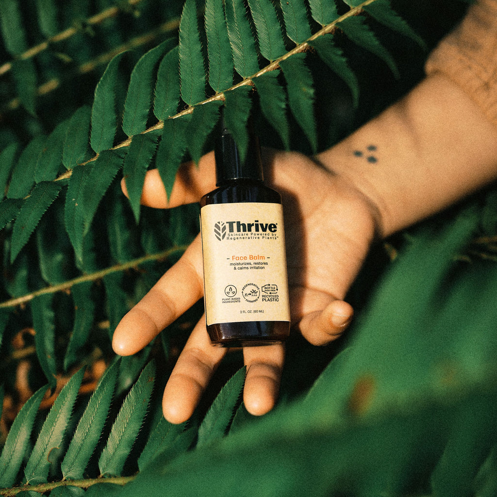 Home Essentials Face Balm for daily home and personal routines with facial skin and sun care