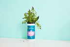 Home Essentials Cleaning Vinegar Wipes for daily home and personal routines with cleaning laundry and paper products