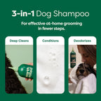 Routine Ready 3-in-1 Curly Coat Dog Shampoo for daily home and personal routines with hair care