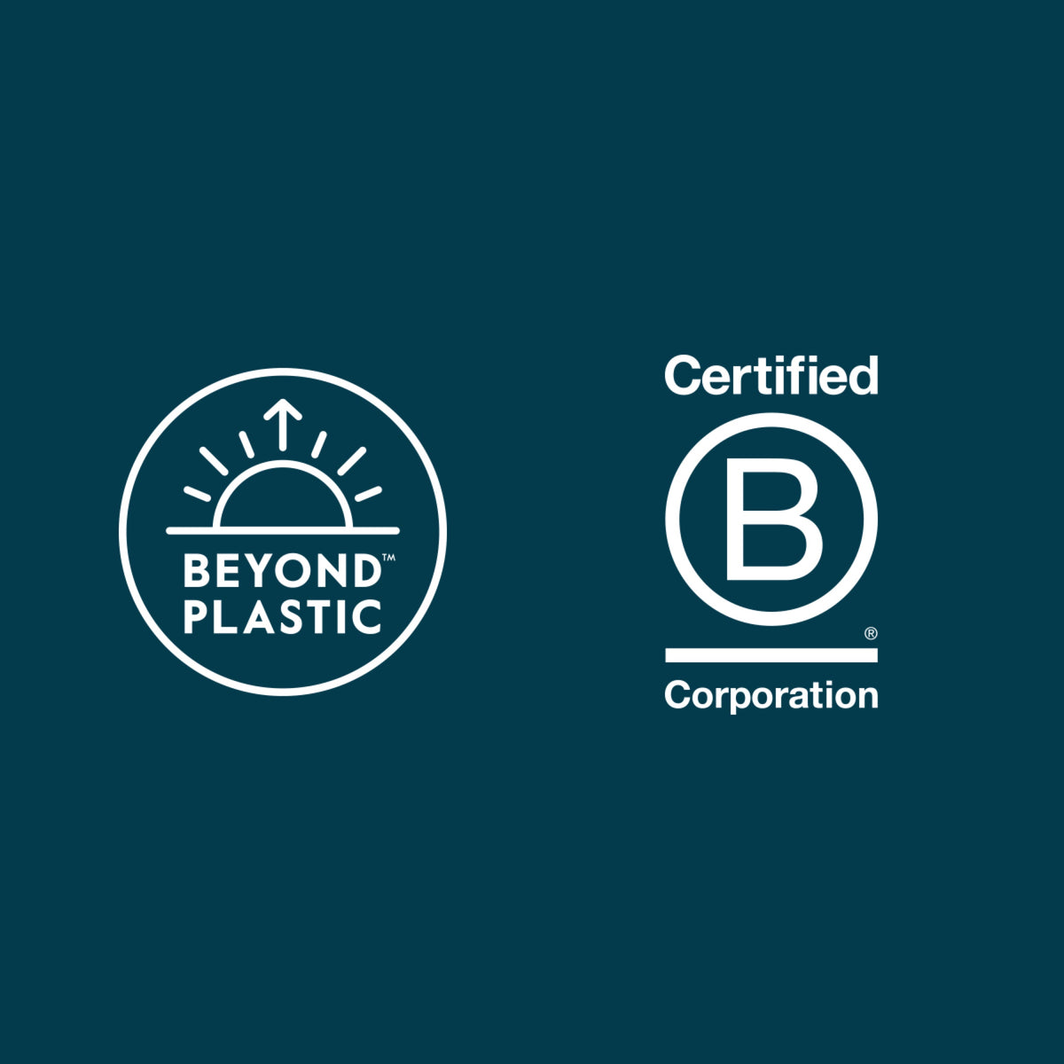 Practical Living Bamboo Compostable Kitchen Wipes for daily home and personal routines with cleaning laundry and paper products