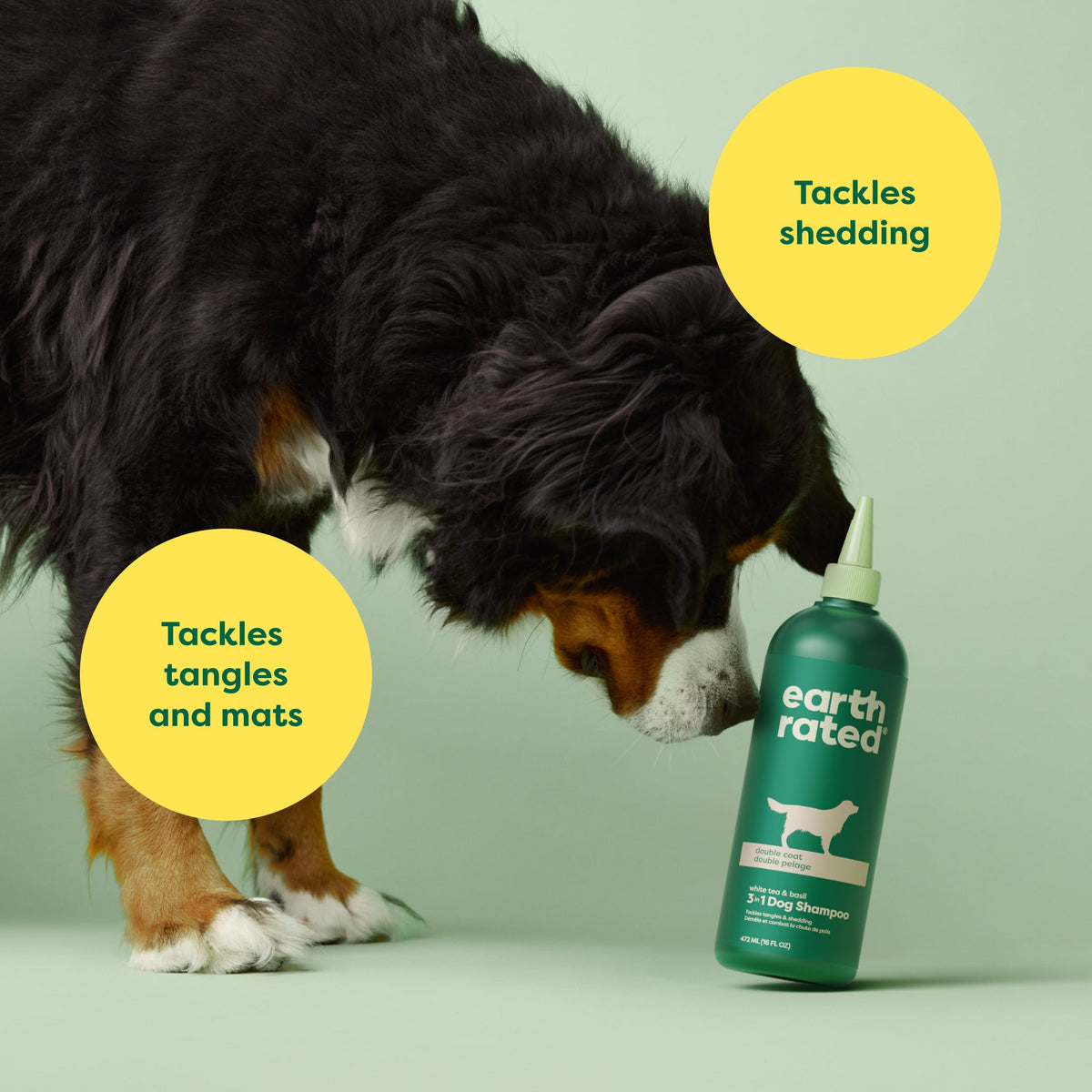 Daily Care 3-in-1 Double Coat Dog Shampoo for daily home and personal routines with hair care