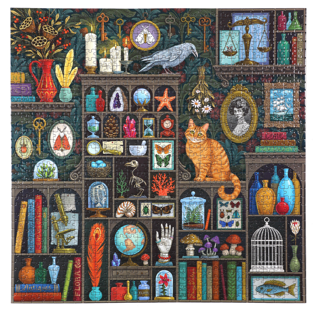 Daily Care Alchemist s Cabinet 1000 Piece Puzzle for daily home and personal routines with general everyday essentials