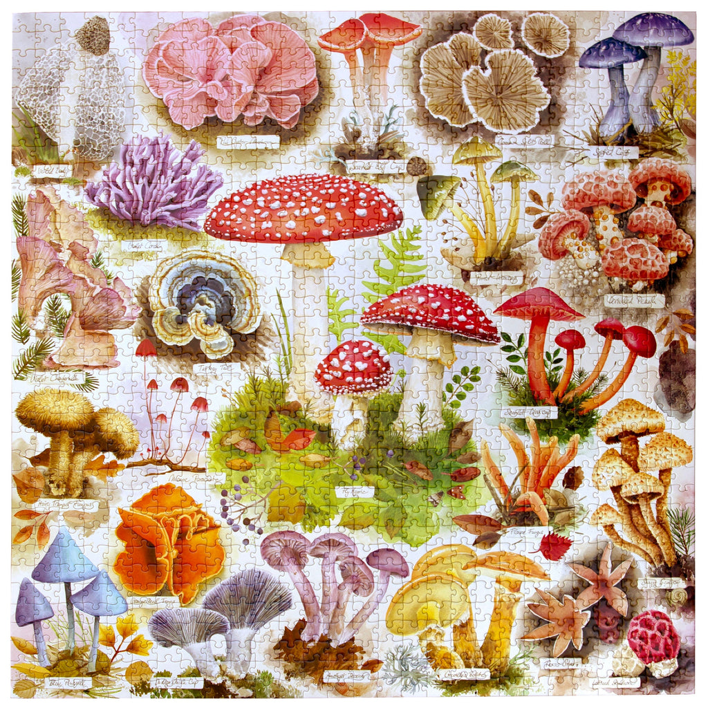 Daily Care Bountiful Mushrooms 1000 Piece Puzzle for daily home and personal routines with general everyday essentials