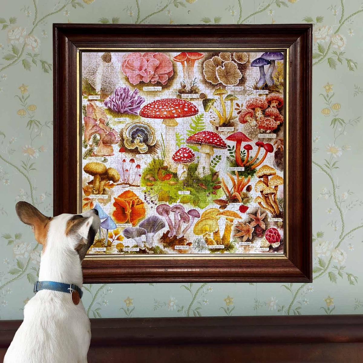 Daily Care Bountiful Mushrooms 1000 Piece Puzzle for daily home and personal routines with general everyday essentials