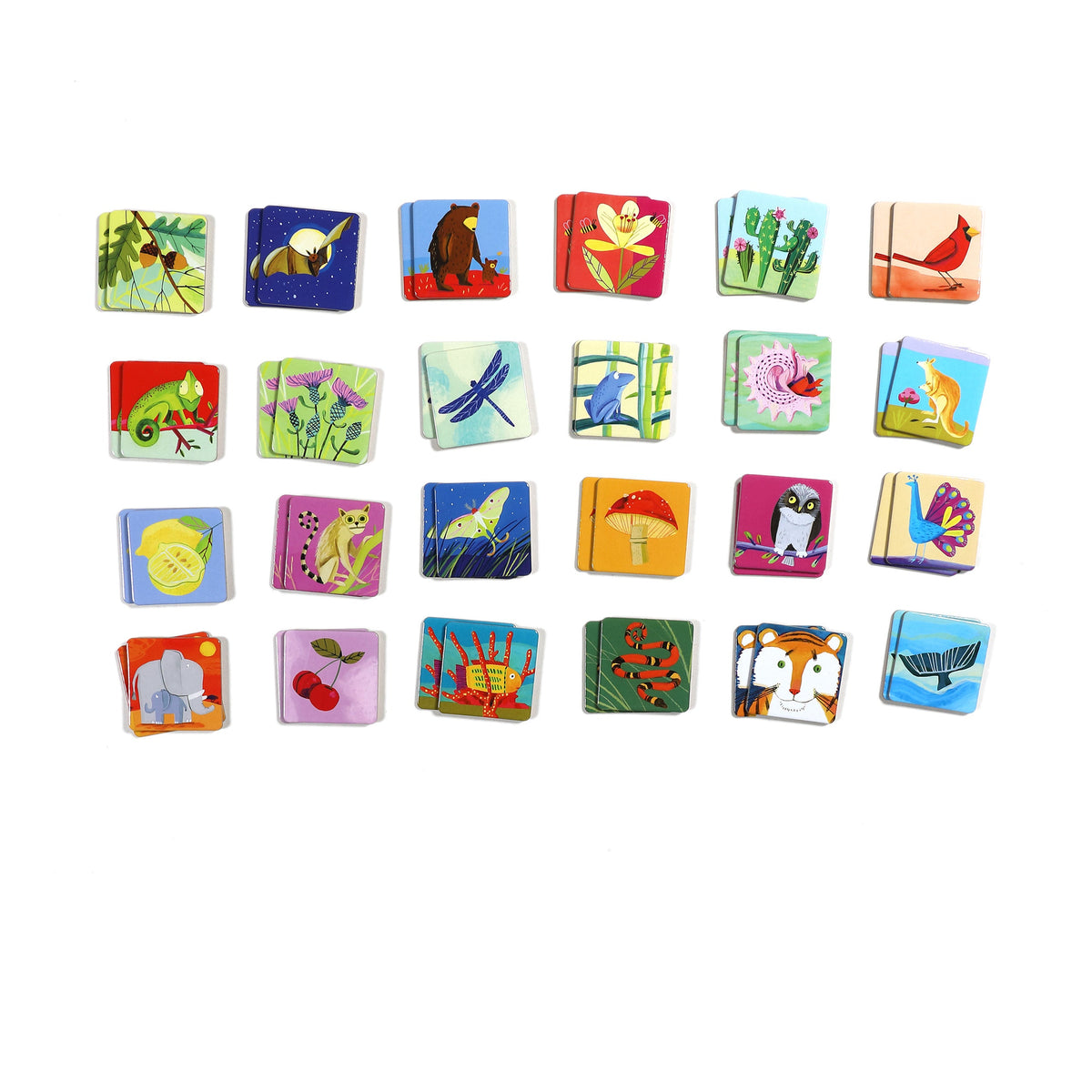 Home Essentials Life on Earth Memory and Matching Game, Ages 3+ for daily home and personal routines with general everyday essentials