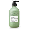 Hand + Body Lotion with Bergamot Water