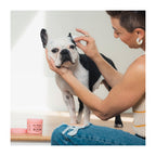 Everyday Home Ear Wipes for daily home and personal routines with cleaning laundry and paper products