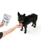 Routine Ready Beef Liver Freeze Dried Raw Single Ingredient Dog Treats for daily home and personal routines with pet care treats and accessories