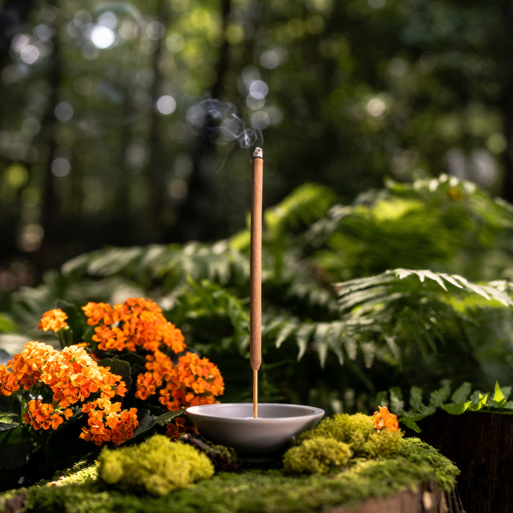 Routine Ready Ceramic Incense Stick Holder for daily home and personal routines with garden plant and outdoor supplies