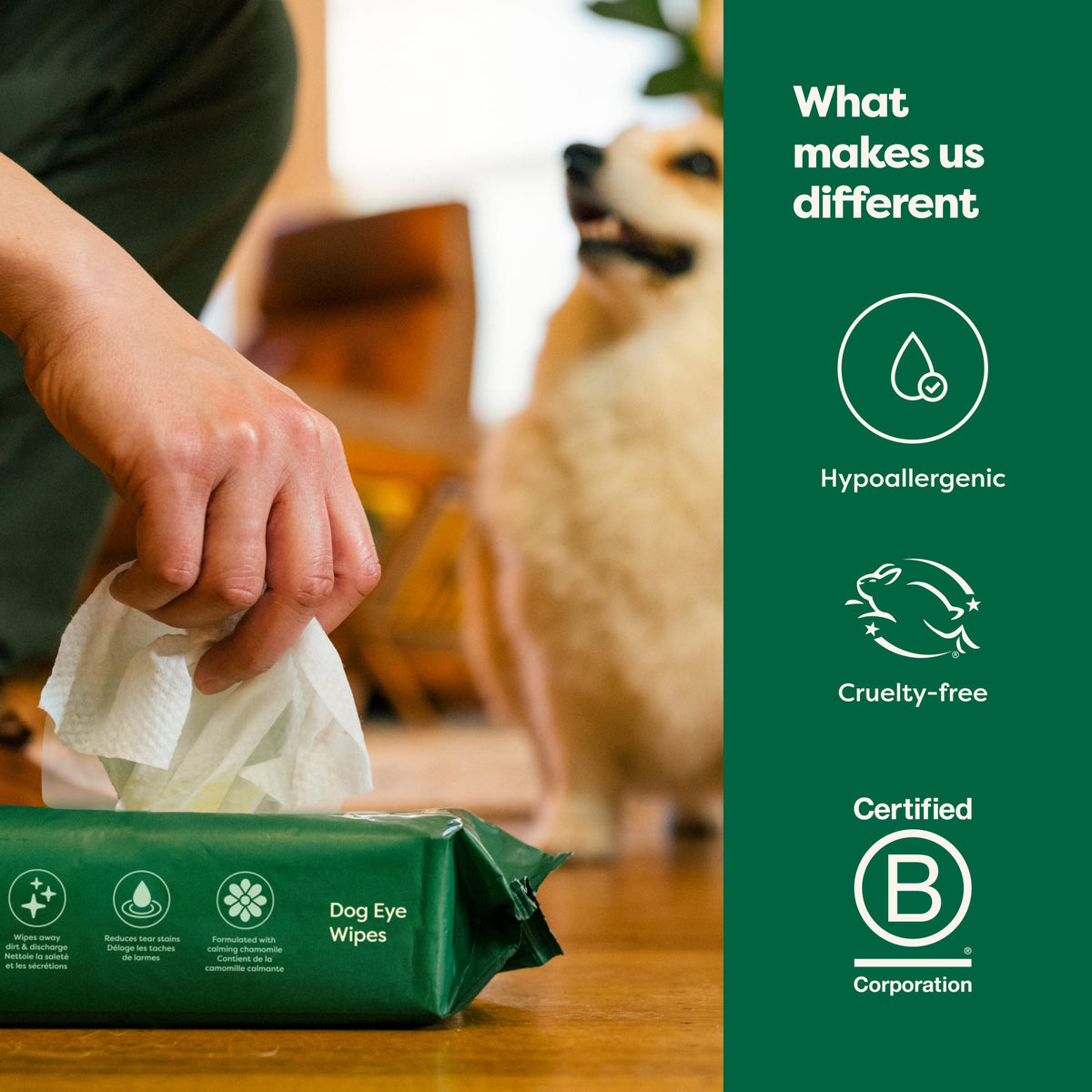Routine Ready Dog Eye Wipes for daily home and personal routines with pet care treats and accessories