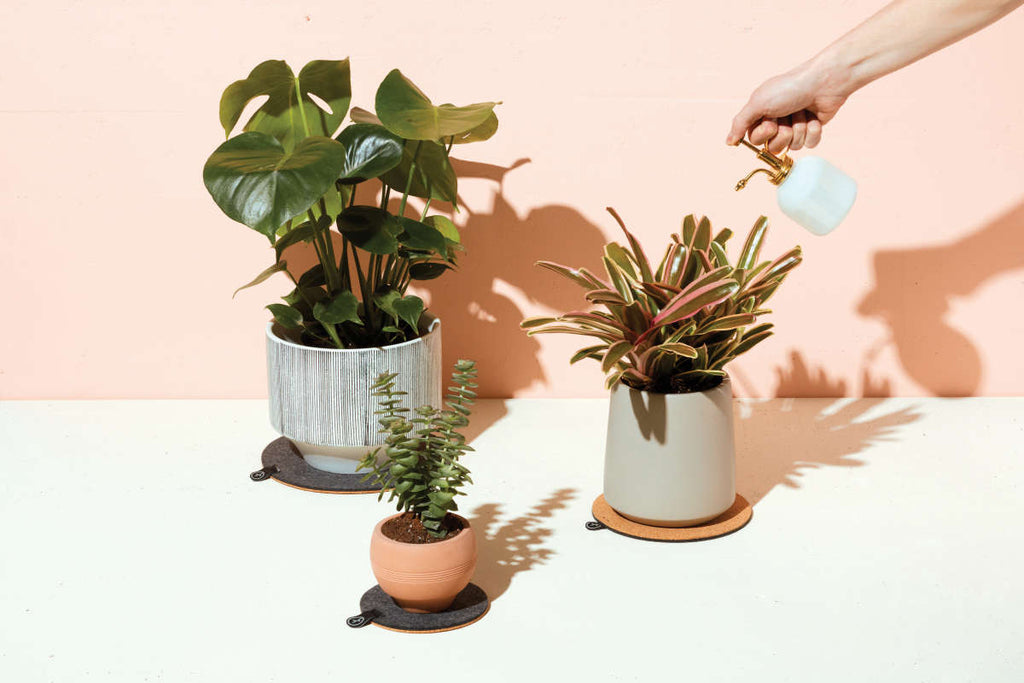 Practical Living Brass and Glass Mister for daily home and personal routines with garden plant and outdoor supplies