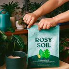 Home Essentials Houseplant Potting Soil for daily home and personal routines with cookware food storage and kitchen tools