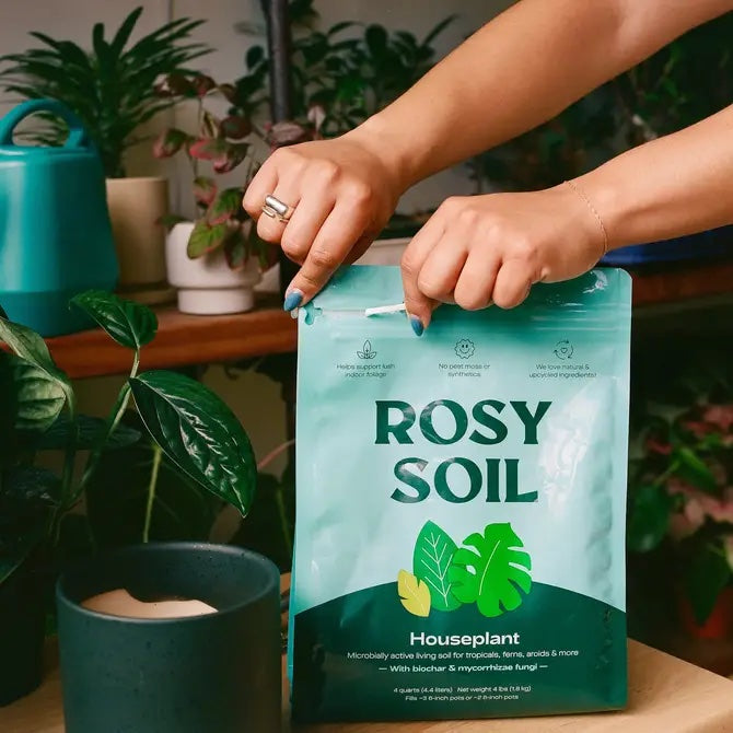 Home Essentials Houseplant Potting Soil for daily home and personal routines with cookware food storage and kitchen tools