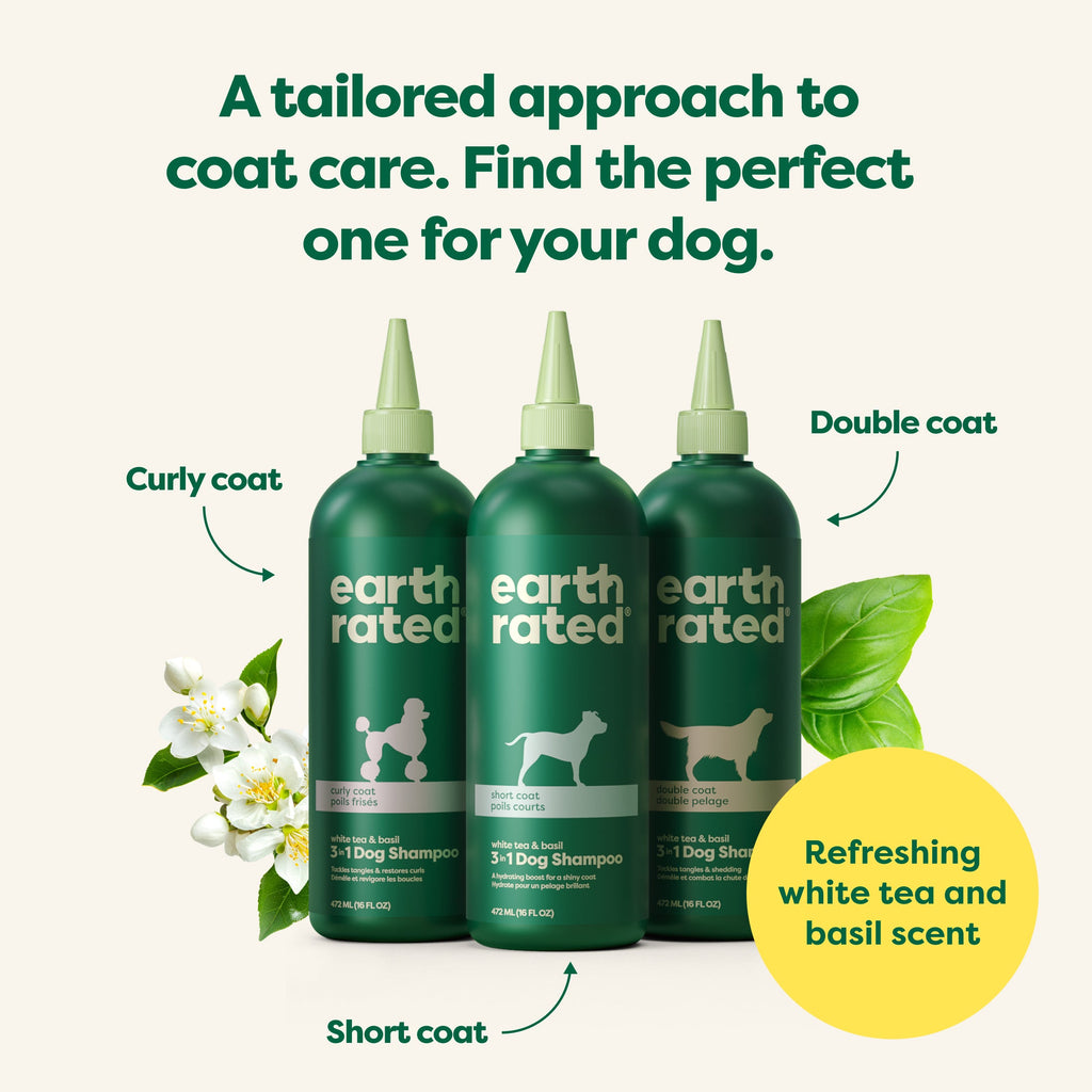Routine Ready 3-in-1 Short Coat Dog Shampoo for daily home and personal routines with hair care