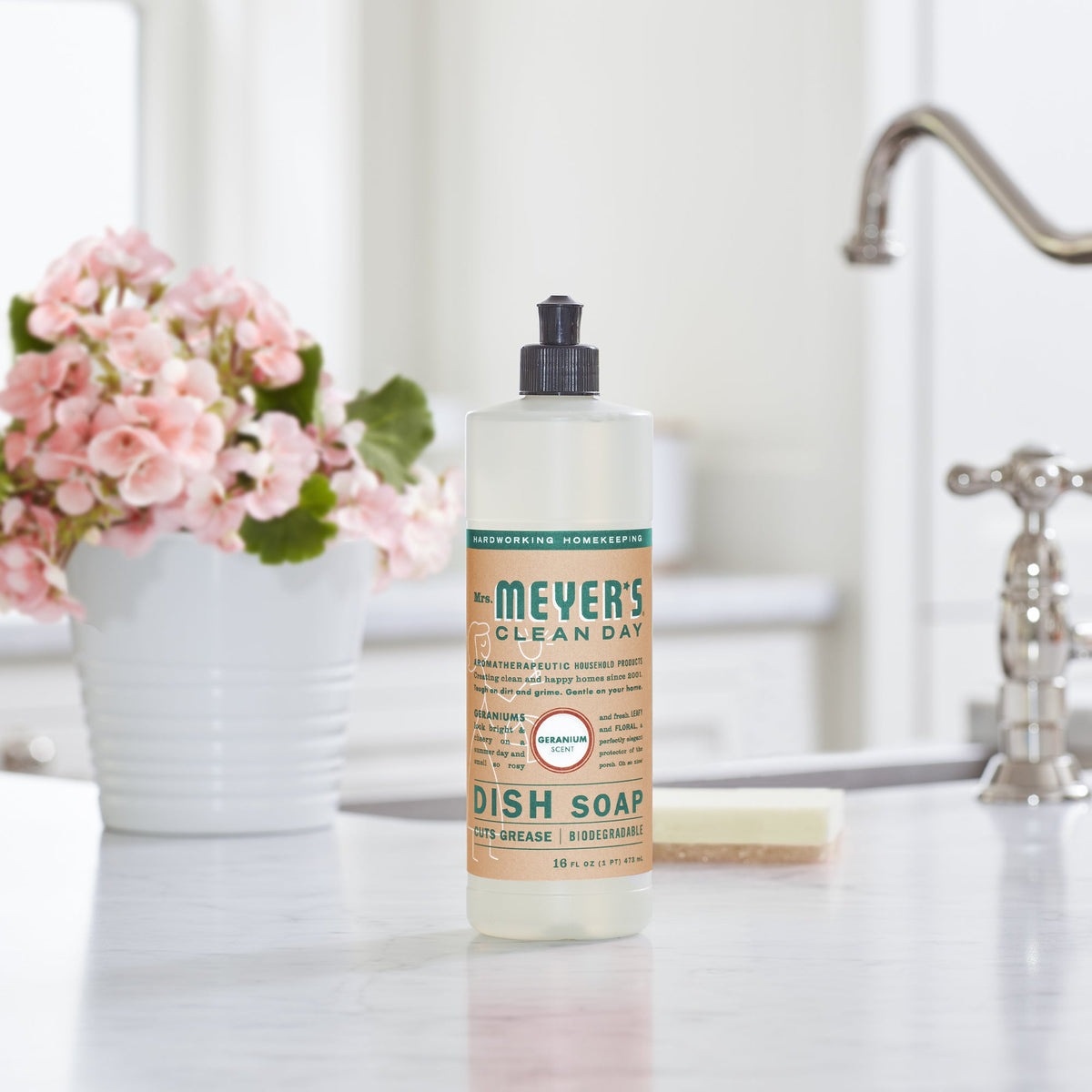 Daily Care Dish Soap for daily home and personal routines with cleaning laundry and paper products