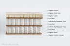Routine Ready Extra Firm Mattress for daily home and personal routines with general everyday essentials