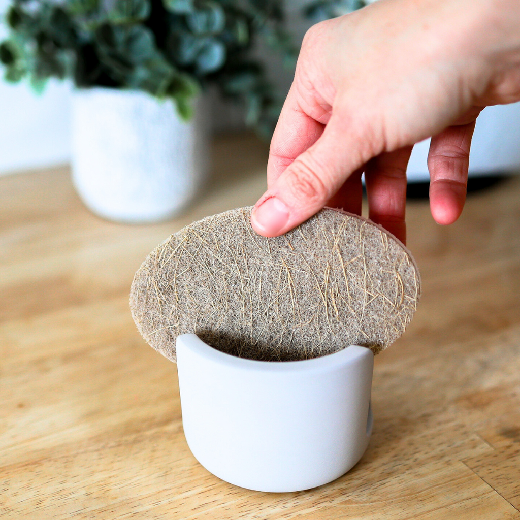 Daily Care Diatomite Sponge Holder for daily home and personal routines with cleaning laundry and paper products
