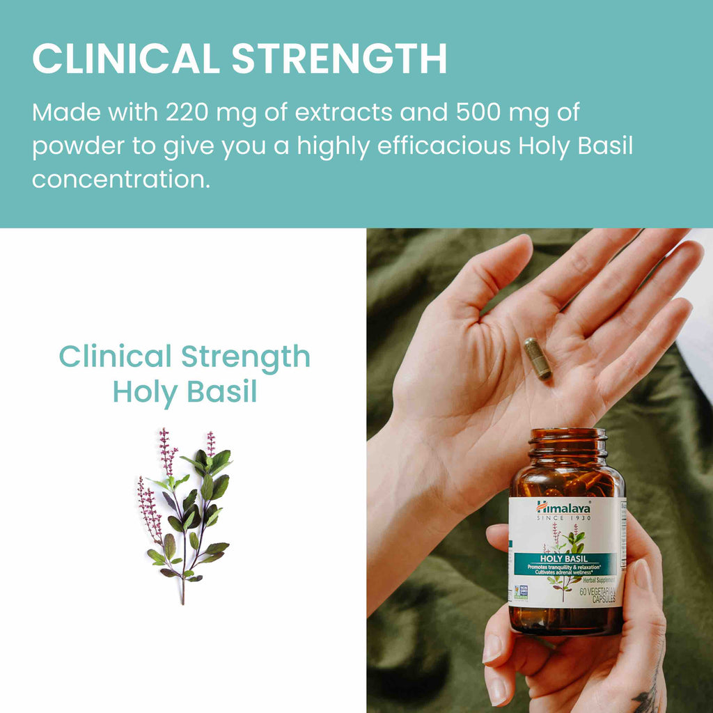 Practical Living Holy Basil for daily home and personal routines with general everyday essentials