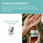 Practical Living Holy Basil for daily home and personal routines with general everyday essentials
