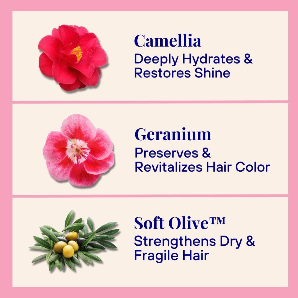 Daily Care Hydrating and Replenishing Powder Shampoo for daily home and personal routines with hair care