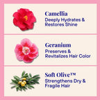 Daily Care Hydrating and Replenishing Powder Shampoo for daily home and personal routines with hair care