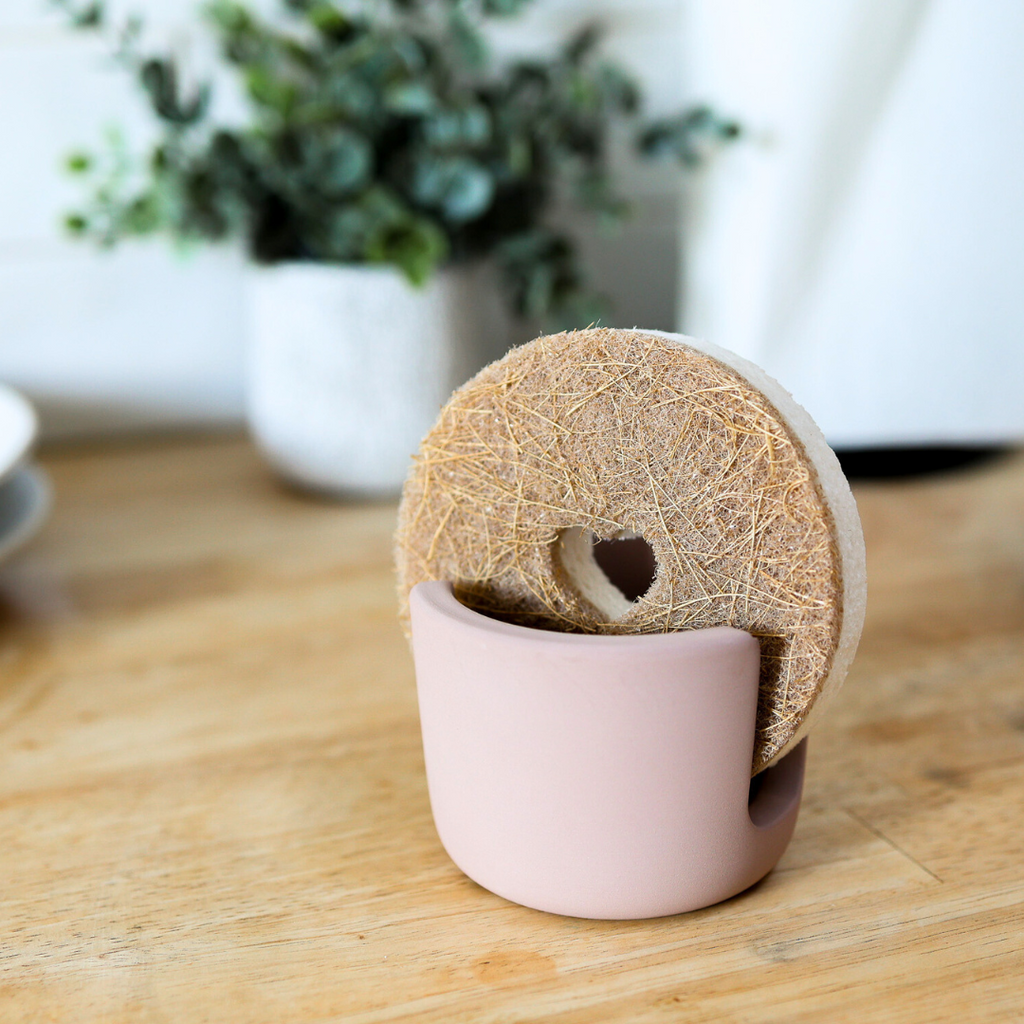 Daily Care Diatomite Sponge Holder for daily home and personal routines with cleaning laundry and paper products