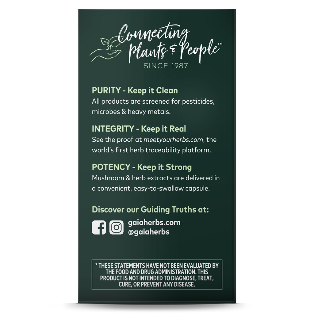 Practical Living Everyday Immune - Mushrooms and Herbs for daily home and personal routines with general everyday essentials