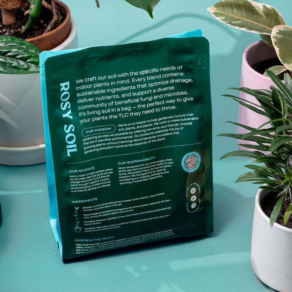 Home Essentials Houseplant Potting Soil for daily home and personal routines with cookware food storage and kitchen tools