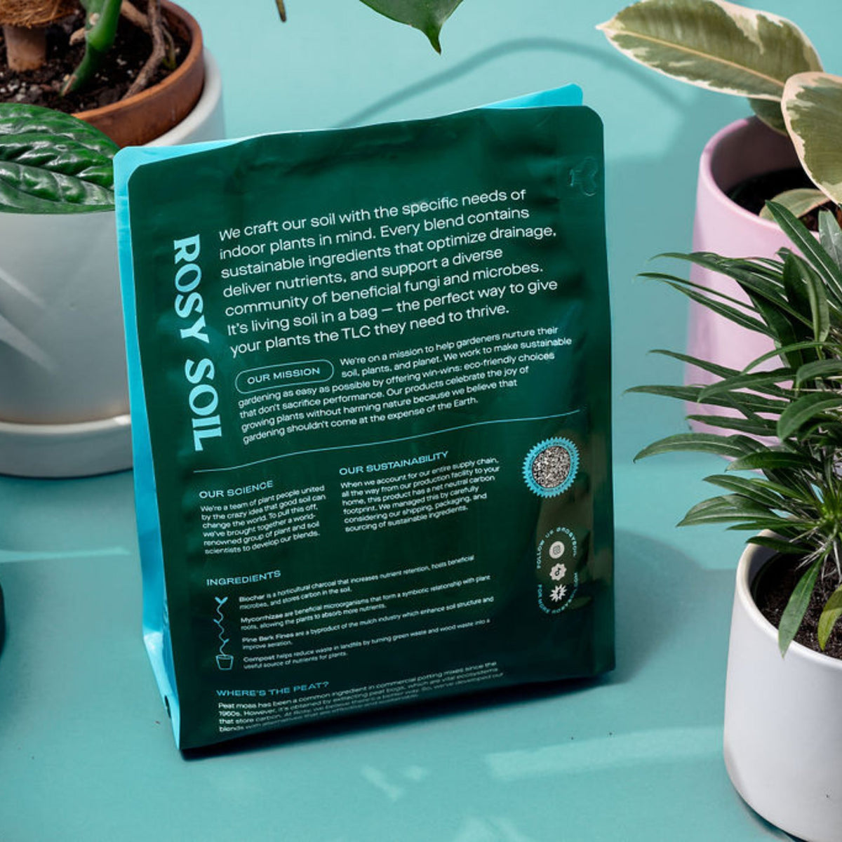 Home Essentials Houseplant Potting Soil for daily home and personal routines with cookware food storage and kitchen tools