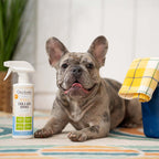 Practical Living All-Surface Pet Stain and Odor Eliminator for daily home and personal routines with facial skin and sun care