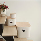 Daily Care Large Storage Bins for daily home and personal routines with home organization and everyday goods