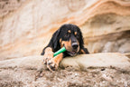 Daily Care Fetch and Chew Drifty Dog Toy made from Ocean-Bound Recycled Plastic - Small for daily home and personal routines with pet care treats and accessories