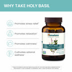 Practical Living Holy Basil for daily home and personal routines with general everyday essentials