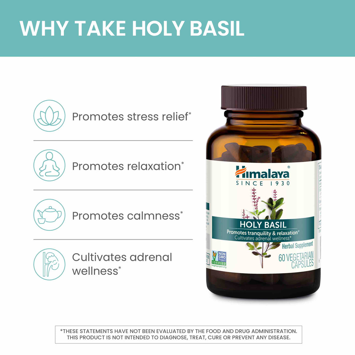 Practical Living Holy Basil for daily home and personal routines with general everyday essentials