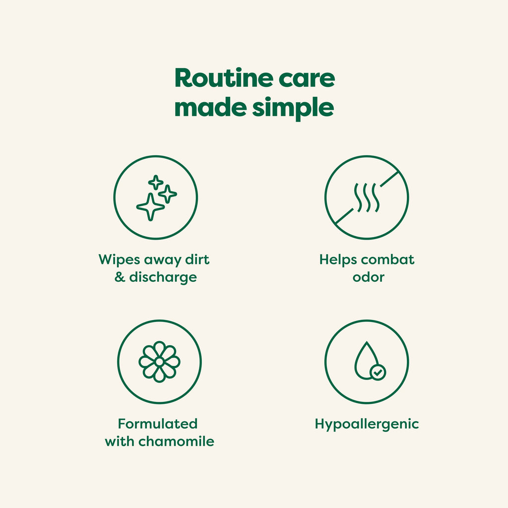 Routine Ready Dog Eye Wipes for daily home and personal routines with pet care treats and accessories