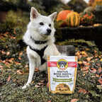 Practical Living Brutus Bone Broth Biscuits for daily home and personal routines with pet care treats and accessories