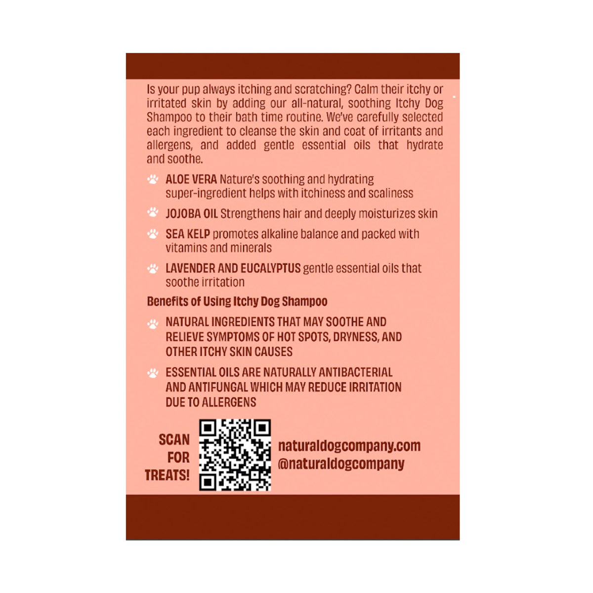 Daily Care Itchy Dog Shampoo for daily home and personal routines with hair care