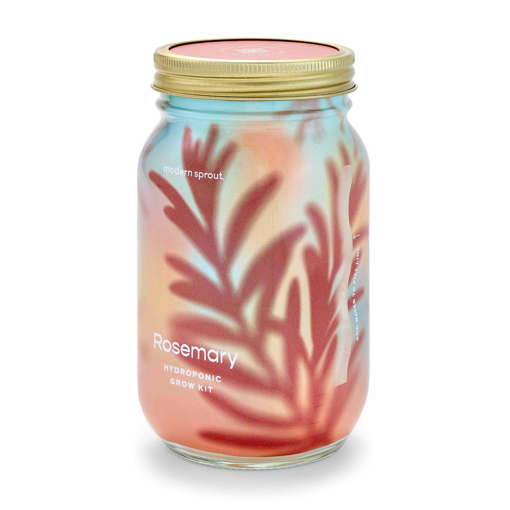 Routine Ready Garden Jar for daily home and personal routines with garden plant and outdoor supplies