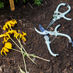 Everyday Home Garden Pruners for daily home and personal routines with garden plant and outdoor supplies