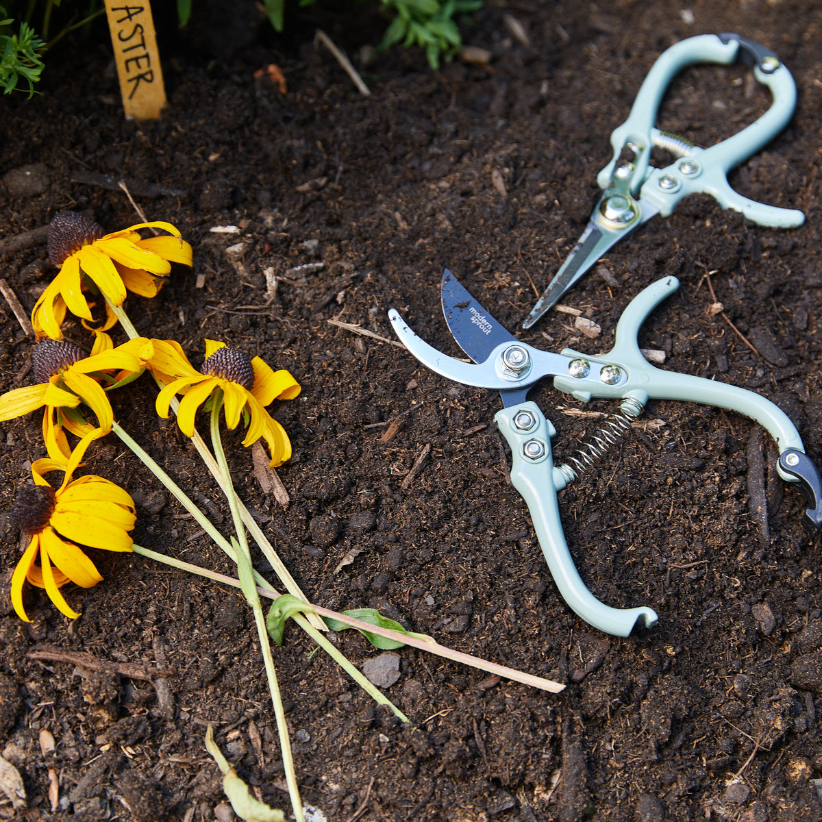 Everyday Home Garden Pruners for daily home and personal routines with garden plant and outdoor supplies