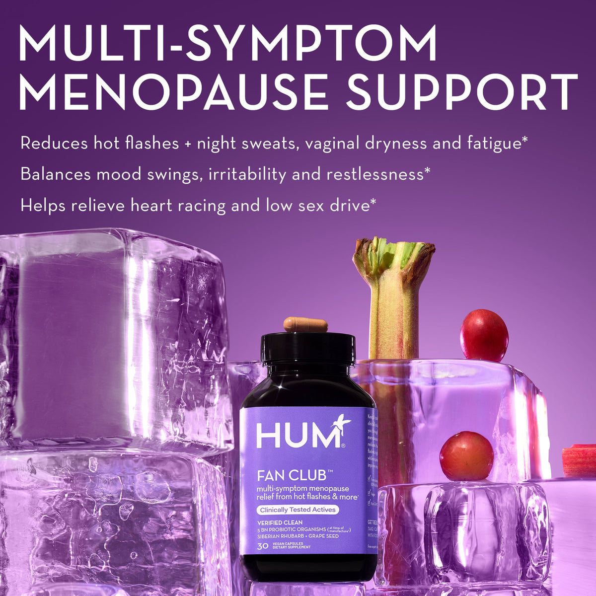 Daily Care Fan Club Menopause Relief - For Hot Flashes for daily home and personal routines with general everyday essentials