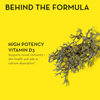 Routine Ready Here Comes The Sun Vitamin D3 Supplement for daily home and personal routines with general everyday essentials