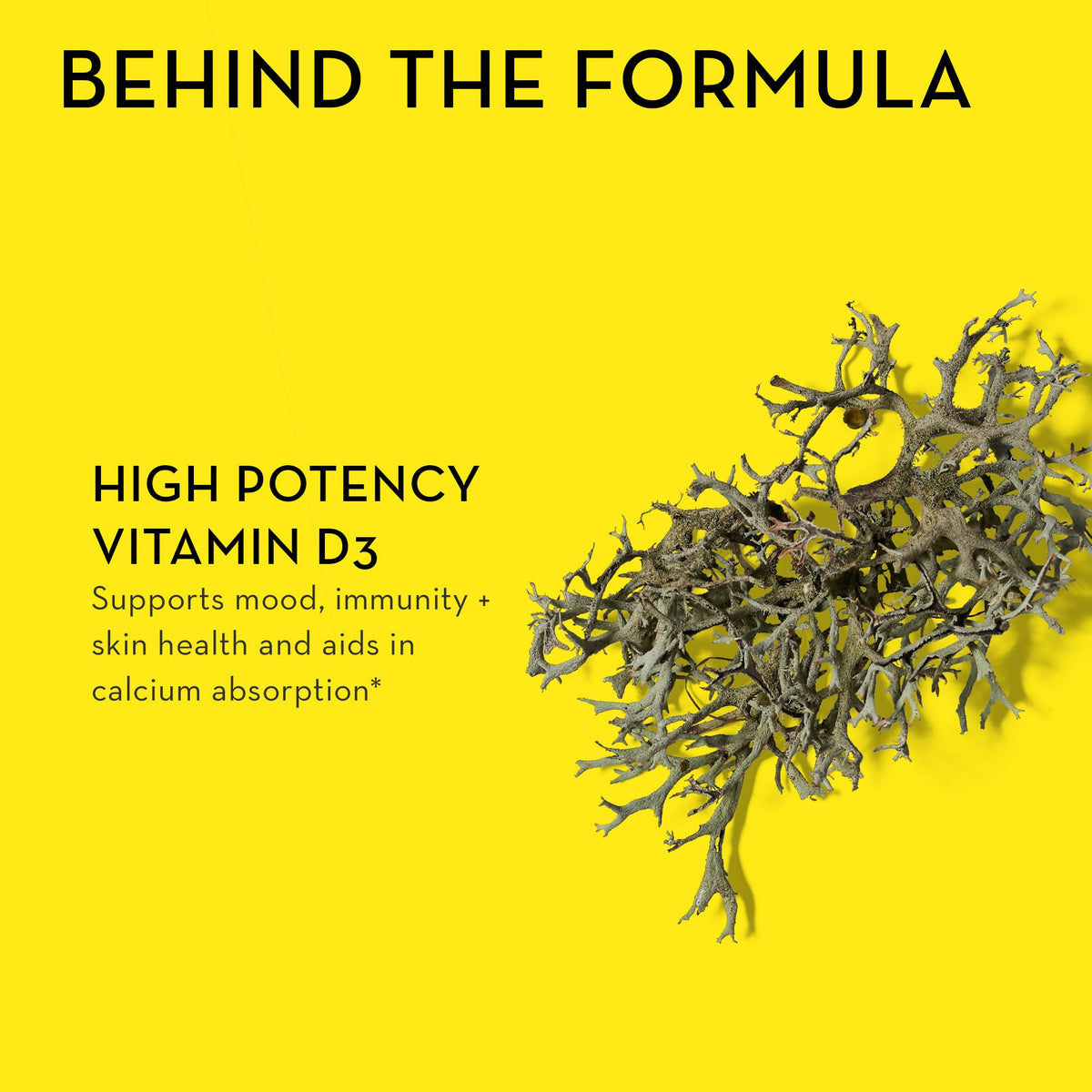Routine Ready Here Comes The Sun Vitamin D3 Supplement for daily home and personal routines with general everyday essentials