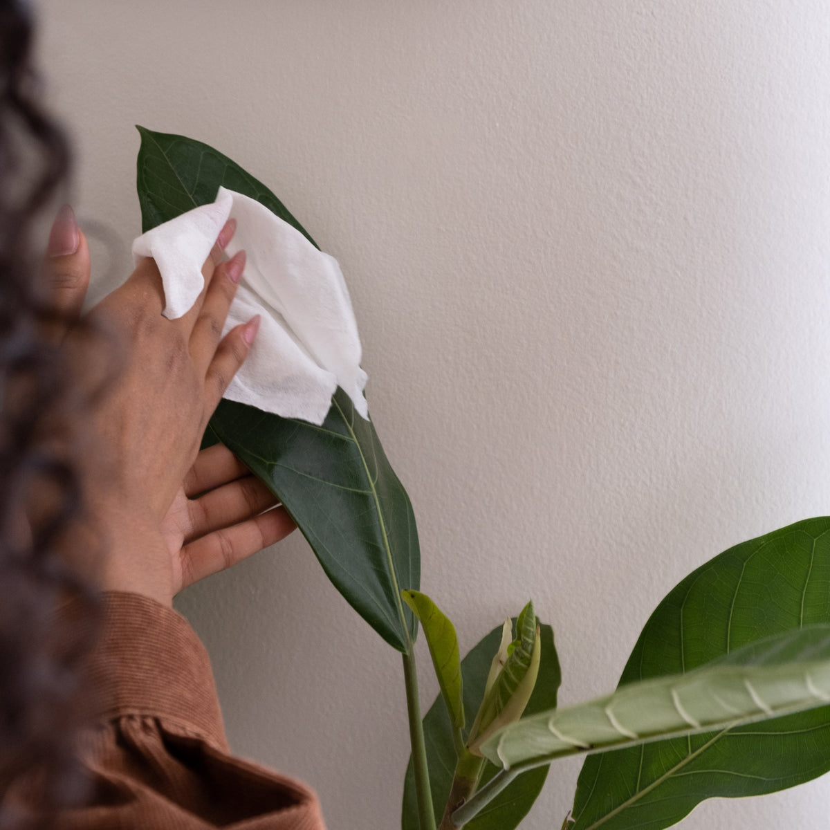 Daily Care All-Purpose Wipe Refills for daily home and personal routines with cleaning laundry and paper products
