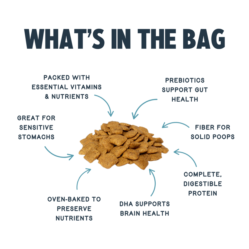 Everyday Home Jiminy s Cravin Cricket Dry Dog Food, Sensitive Stomach, Improved Gut Health for daily home and personal routines with pet care treats and accessories