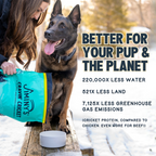 Everyday Home Jiminy s Cravin Cricket Dry Dog Food, Sensitive Stomach, Improved Gut Health for daily home and personal routines with pet care treats and accessories