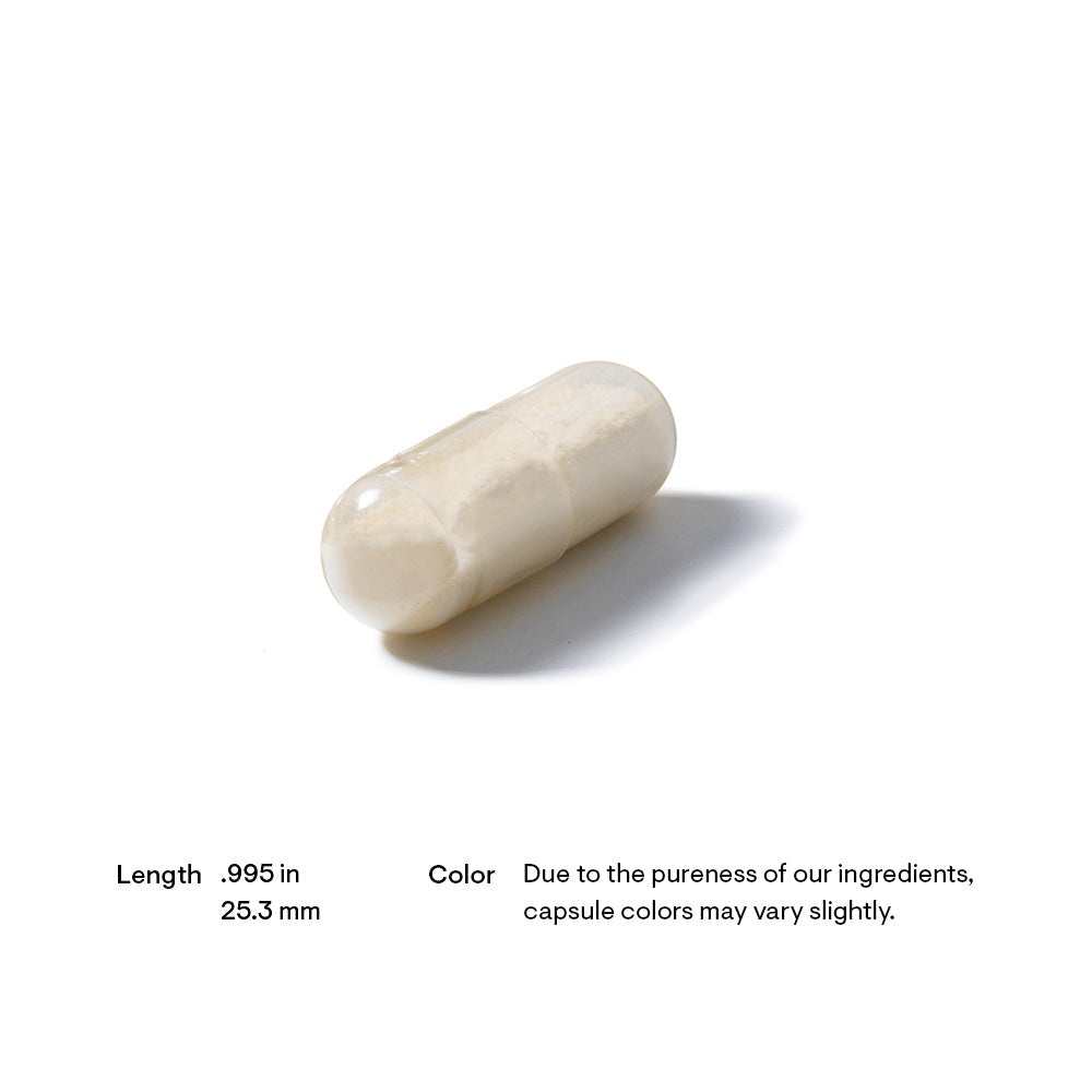 Practical Living Glucosamine and Chondroitin for daily home and personal routines with general everyday essentials