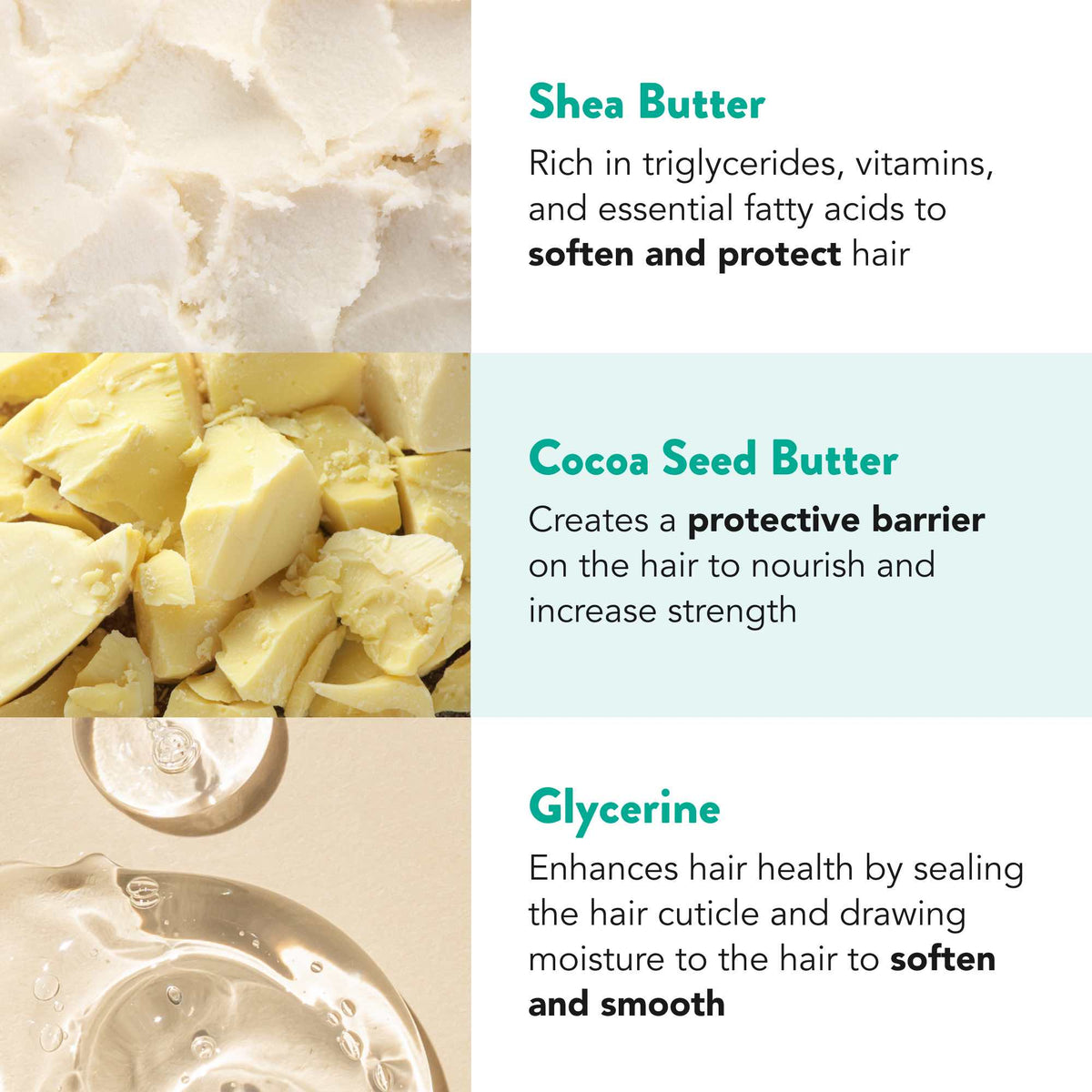 Practical Living Curliosity Moisturizing Conditioner Bar for daily home and personal routines with hair care