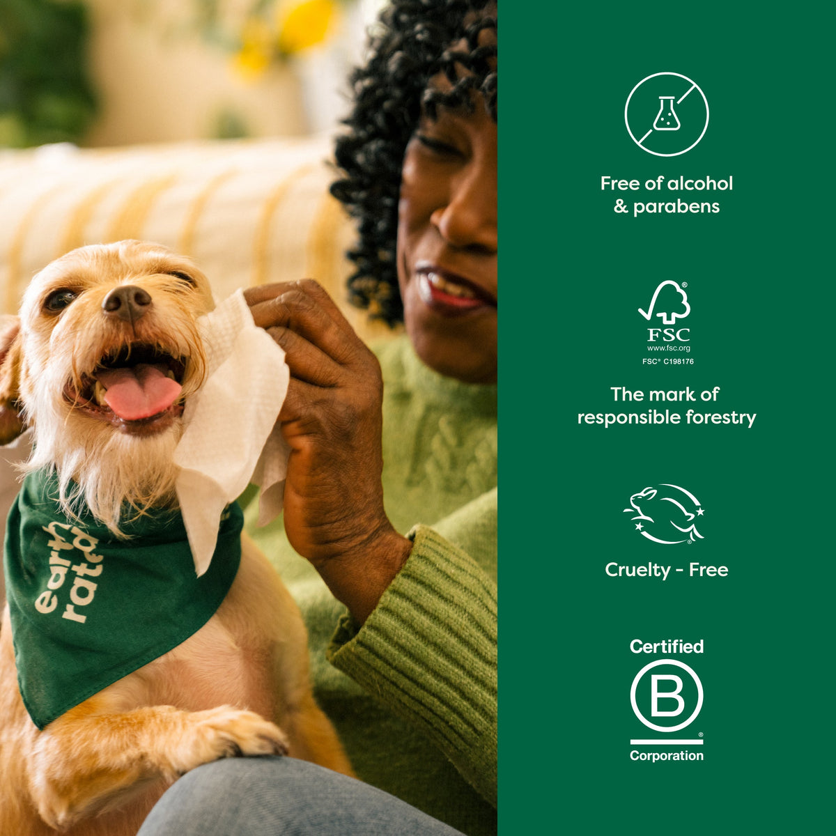 Everyday Home Hypoallergenic Dog Ear Cleansing Wipes for daily home and personal routines with cleaning laundry and paper products